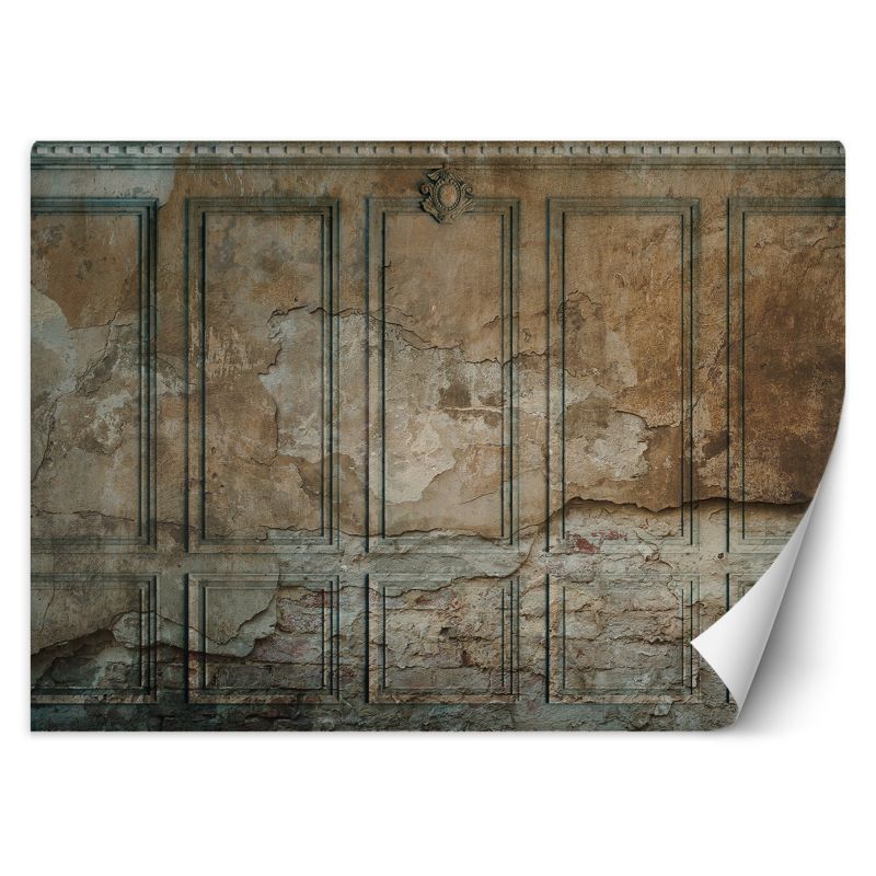Fototapeta Feeby Ciemna Stara Ściana  350x245 1 szt