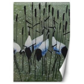 Fototapeta Feeby Czaple na łące  100x140 1 szt