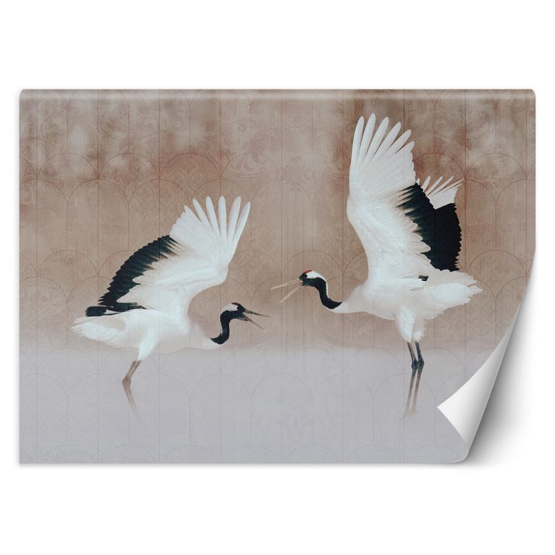 Fototapeta Feeby Czaple Ptaki Beż  350x245 1 szt