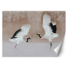 Fototapeta Feeby Czaple Ptaki Beż  350x245 1 szt