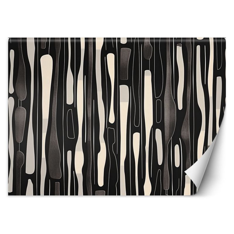 Fototapeta Feeby Czarno biała abstrakcja  150x105 1 szt