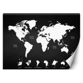Fototapeta Feeby Czarno biała mapa świata  250x175 1 szt