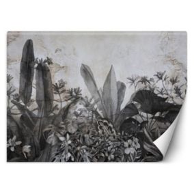 Fototapeta Feeby Czarno białe liście tropikalne na tle betonu  250x175 1 szt