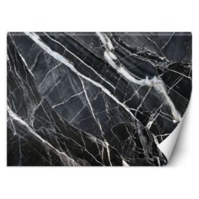 Fototapeta Feeby Czarno Biały Marmur Tekstura  200x140 1 szt