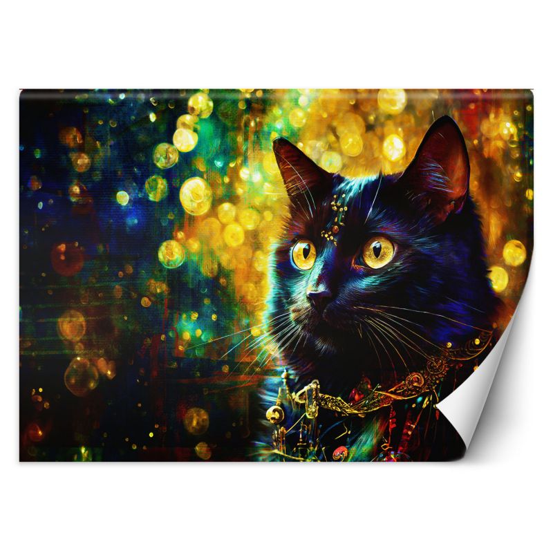 Fototapeta Feeby Czarny Kot Abstrakcja  200x140 1 szt