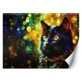 Fototapeta Feeby Czarny Kot Abstrakcja  350x245 1 szt