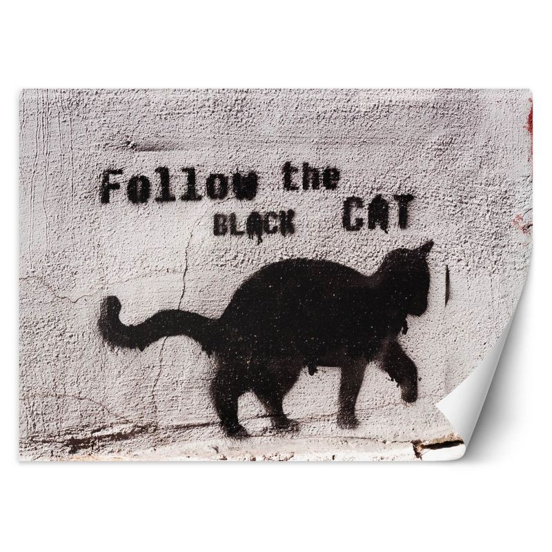 Fototapeta Feeby Czarny kot follow the black cat beton  350x245 1 szt