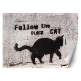 Fototapeta Feeby Czarny kot follow the black cat beton  350x245 1 szt