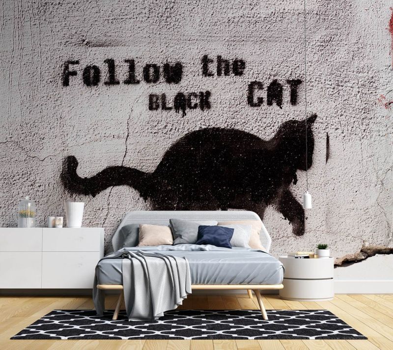 Fototapeta Feeby Czarny kot follow the black cat beton  350x245 1 szt