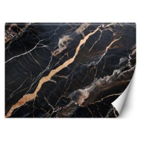 Fototapeta Feeby Czarny Marmur ze Złotem Abstrakcja  250x175 1 szt