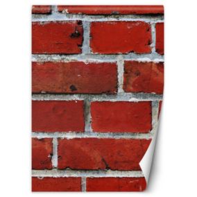 Fototapeta Feeby Czerwona cegła makro  100x140 1 szt