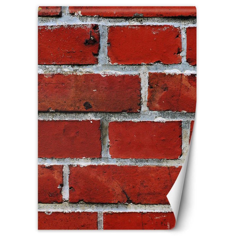 Fototapeta Feeby Czerwona cegła makro  150x210 1 szt