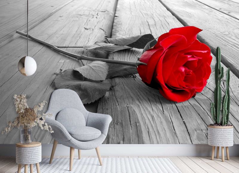 Fototapeta Feeby Czerwona róża na pomoście  100x70 1 szt