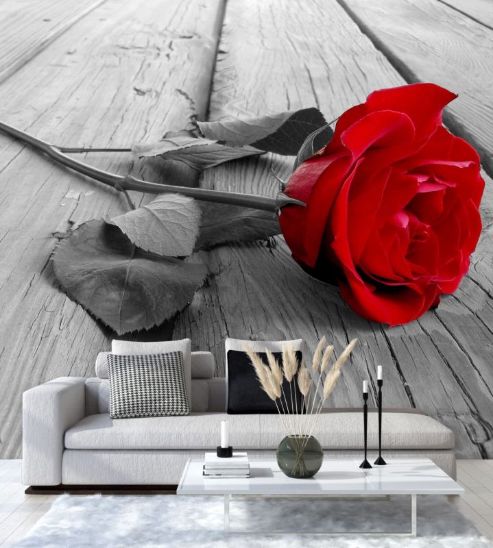 Fototapeta Feeby Czerwona róża na pomoście  250x250 1 szt