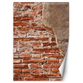 Fototapeta Feeby Czerwona stara cegła  100x140 1 szt