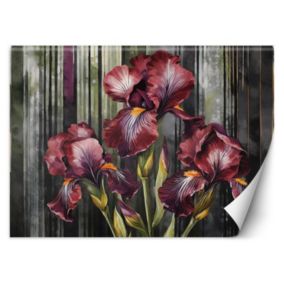 Fototapeta Feeby Czerwone kwiaty  150x105 1 szt