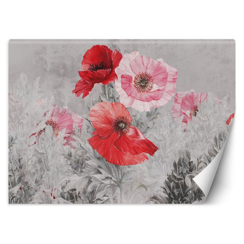 Fototapeta Feeby Czerwone maki akwarela  250x175 1 szt