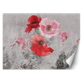 Fototapeta Feeby Czerwone maki akwarela  250x175 1 szt