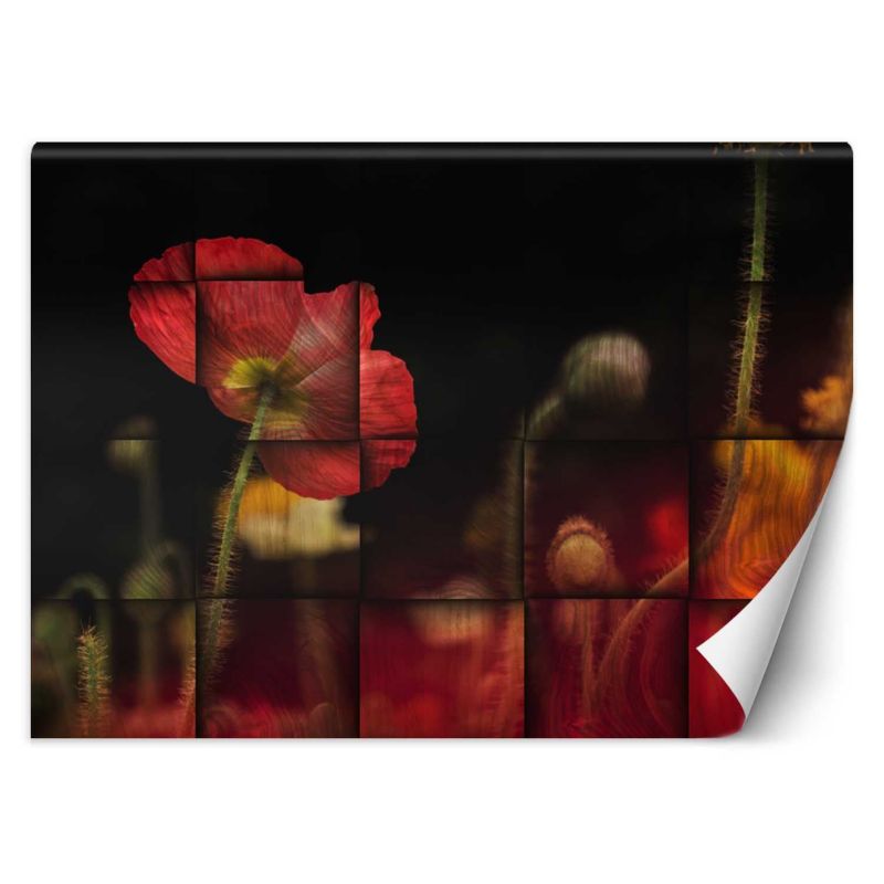 Fototapeta Feeby Czerwone maki kwiaty  100x70 1 szt