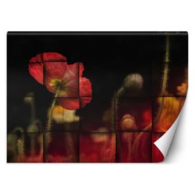 Fototapeta Feeby Czerwone maki kwiaty  100x70 1 szt