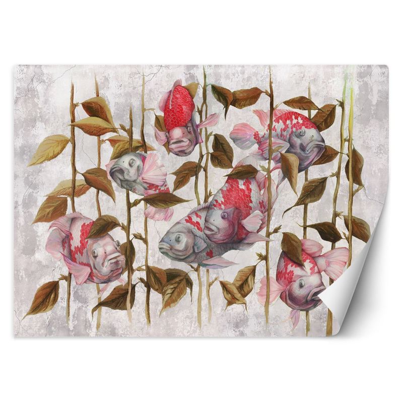 Fototapeta Feeby Czerwone ryby koi japońskie karpie   250x175 1 szt
