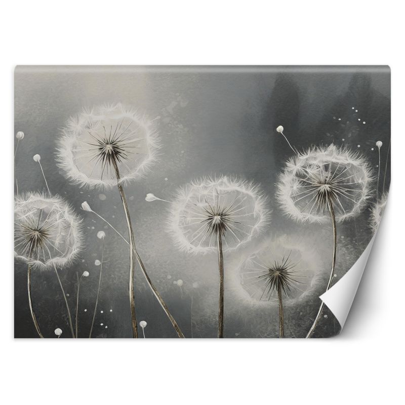 Fototapeta Feeby Dmuchawce w odcieniach szarości  200x140 1 szt
