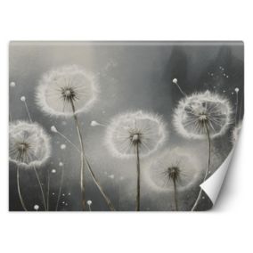 Fototapeta Feeby Dmuchawce w odcieniach szarości  200x140 1 szt