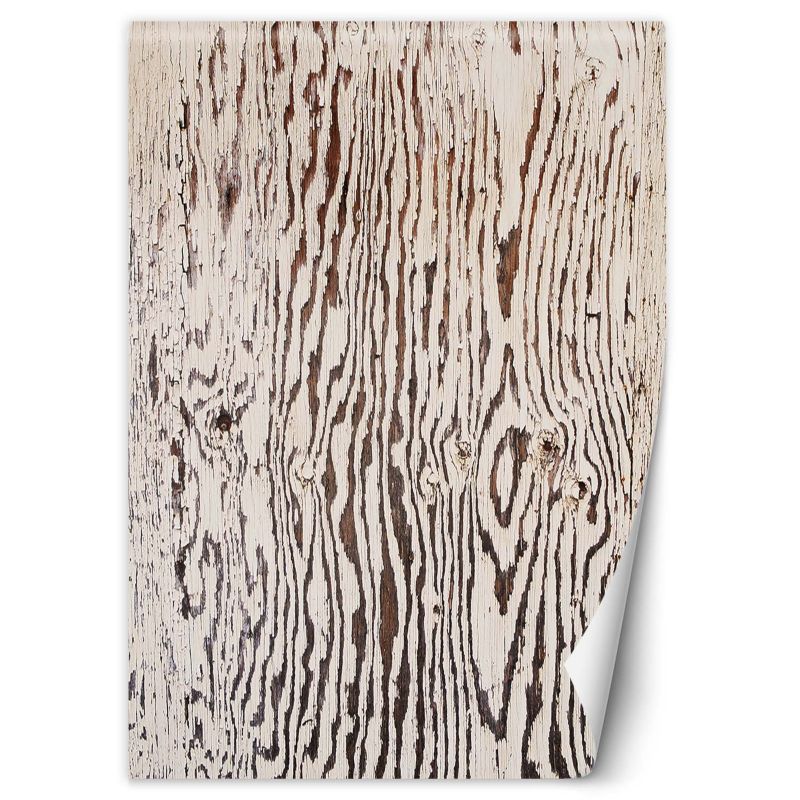 Fototapeta Feeby Drewno makro natura  150x210 1 szt