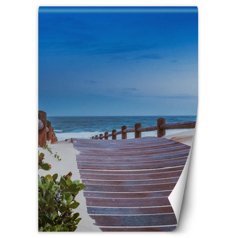 Fototapeta Feeby Droga na plaże  200x280 1 szt