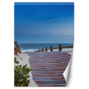 Fototapeta Feeby Droga na plaże  200x280 1 szt