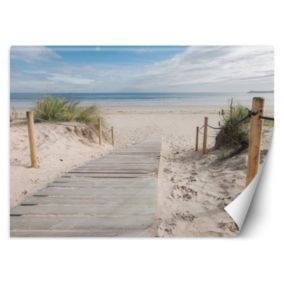 Fototapeta Feeby Droga na plażę krajobraz  368x254 1 szt