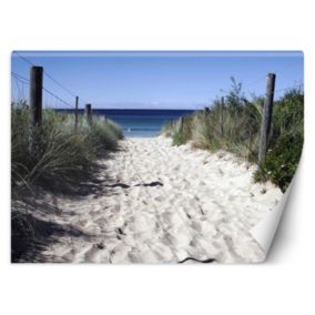 Fototapeta Feeby Droga na plażę wydmy piasek  250x175 1 szt
