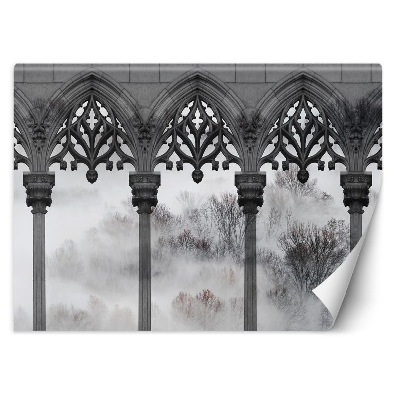 Fototapeta Feeby Drzewa Mgła Filary Czarny Biały  150x105 1 szt