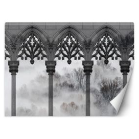 Fototapeta Feeby Drzewa Mgła Filary Czarny Biały  150x105 1 szt