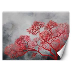 Fototapeta Feeby Drzewa rośliny czerwony  350x245 1 szt