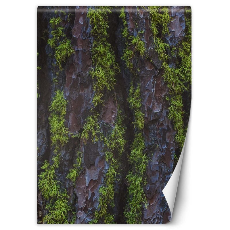 Fototapeta Feeby Drzewo mech  200x280 1 szt