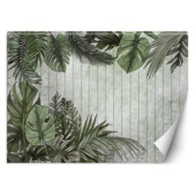 Fototapeta Feeby Egzotyczne liście na tle z desek  350x245 1 szt