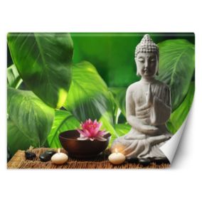 Fototapeta Feeby Figurka Buddy zen spa  350x245 1 szt