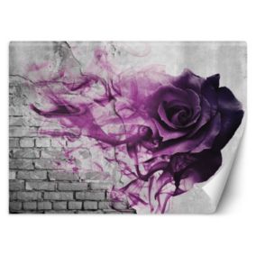 Fototapeta Feeby Fioletowa róża dym  350x245 1 szt