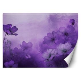 Fototapeta Feeby Fioletowe kwiaty na łące  200x140 1 szt