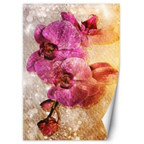 Fototapeta Feeby Fioletowe storczyki  150x210 1 szt