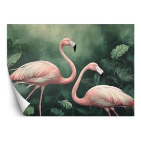 Fototapeta Feeby Flamingi Botanika Przyroda  250x175 1 szt