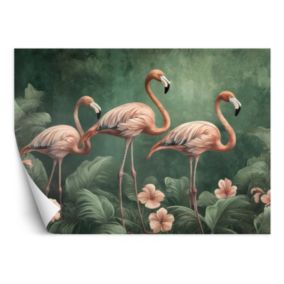 Fototapeta Feeby Flamingi Zwierzęta dżungli  300x210 1 szt