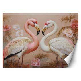Fototapeta Feeby Flamingi Zwierzęta Miłość  250x175 1 szt