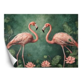 Fototapeta Feeby Flamingi Zwierzęta tropikalne  350x245 1 szt