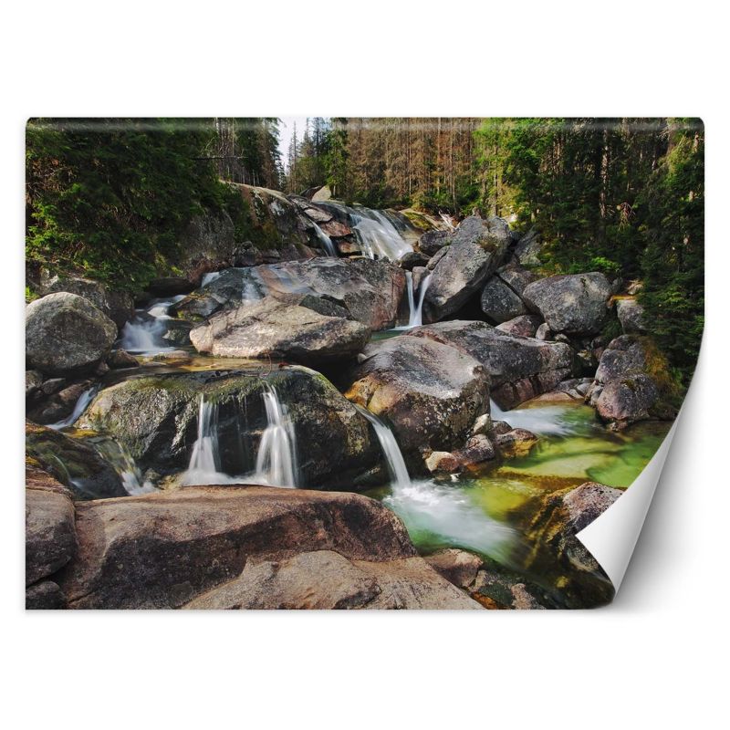 Fototapeta Feeby Górski potok natura  350x245 1 szt