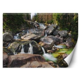 Fototapeta Feeby Górski potok natura  450x315 1 szt