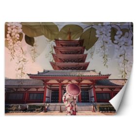 Fototapeta Feeby Gejsza i świątynia Senso Ji w Tokio  450x315 1 szt