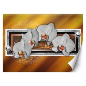 Fototapeta Feeby Geometria i orchidea  350x245 1 szt