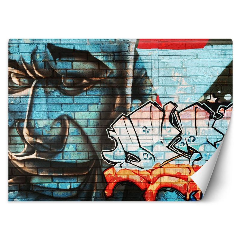 Fototapeta Feeby Graffiti na murze niebieska twarz  150x105 1 szt